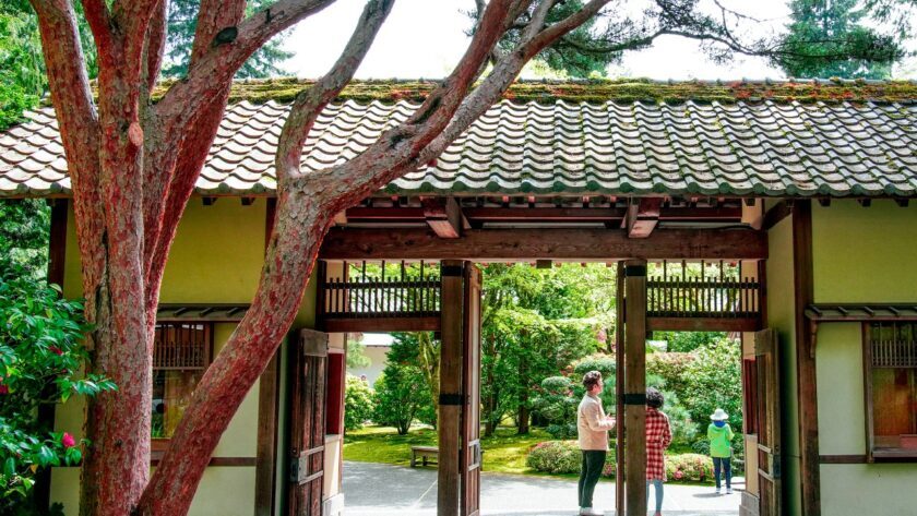 Un-jardin-creado-para-la-sanacion-entre-Japon-y-Oregon
