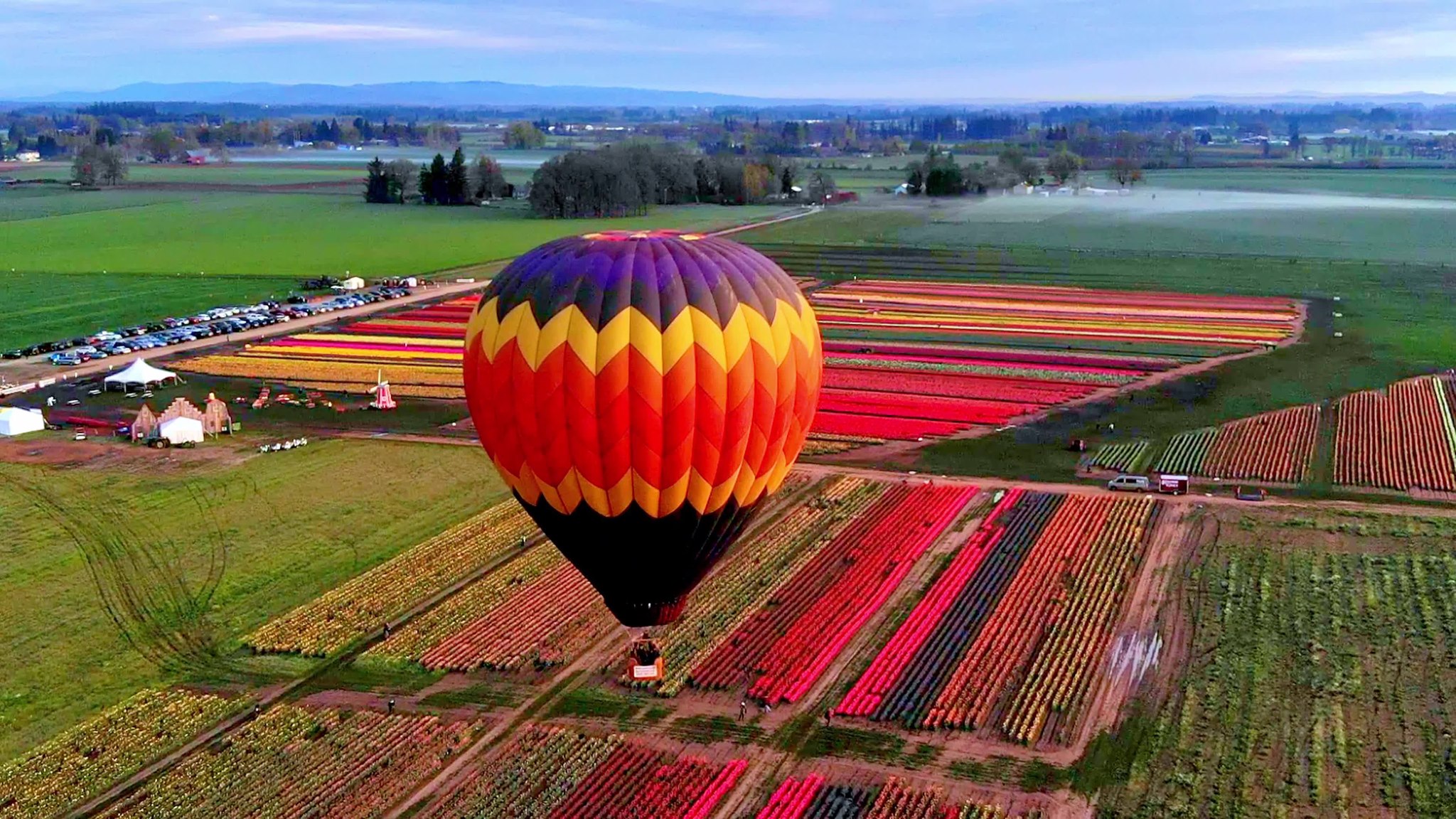 Wooden Shoe Tulip Festival en Español