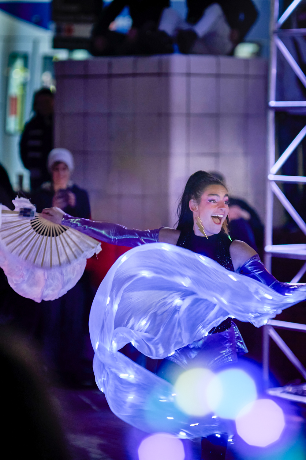 Festival de luces de invierno de Portland 2024