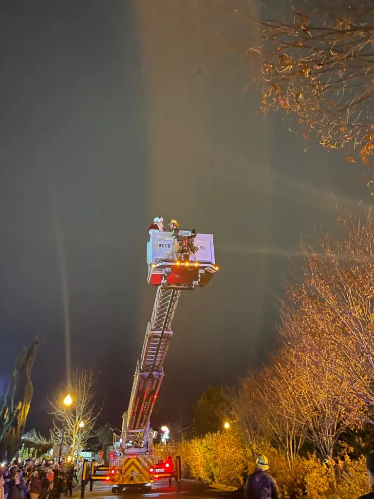 Tigard | ¡La iluminación del árbol!