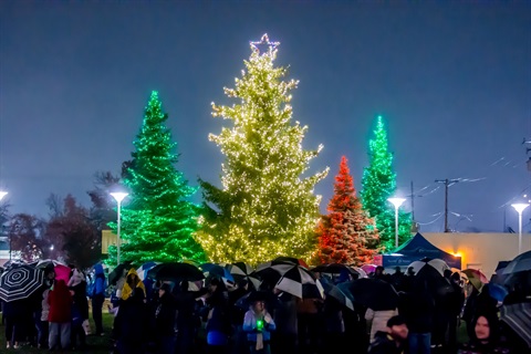 Medford | Festival de Luces
